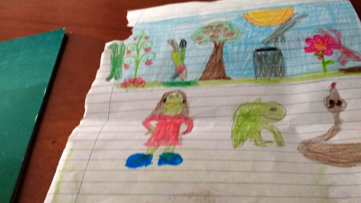 O sapo que queria mudar de cor - desenhado pela Manuela