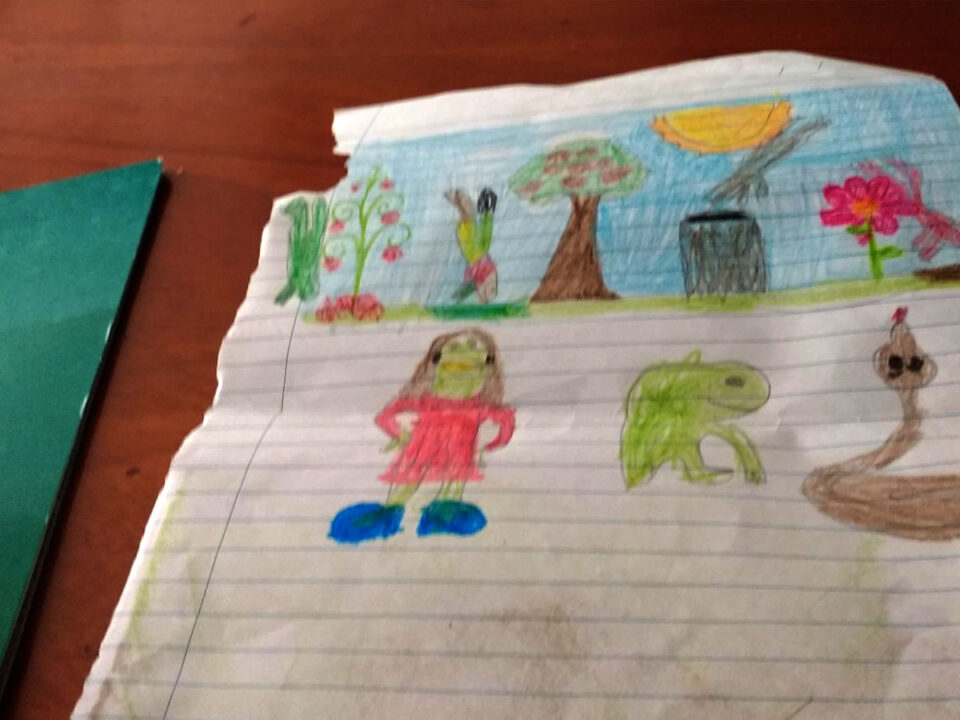 O sapo que queria mudar de cor - desenhado pela Manuela