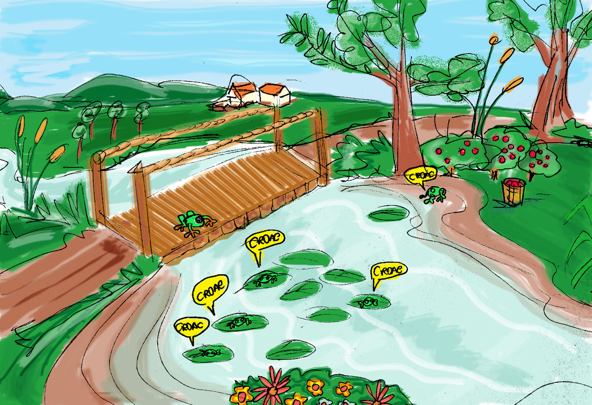 O Sapo que queria mudar de cor - Claudia Braga - Rascunho 03