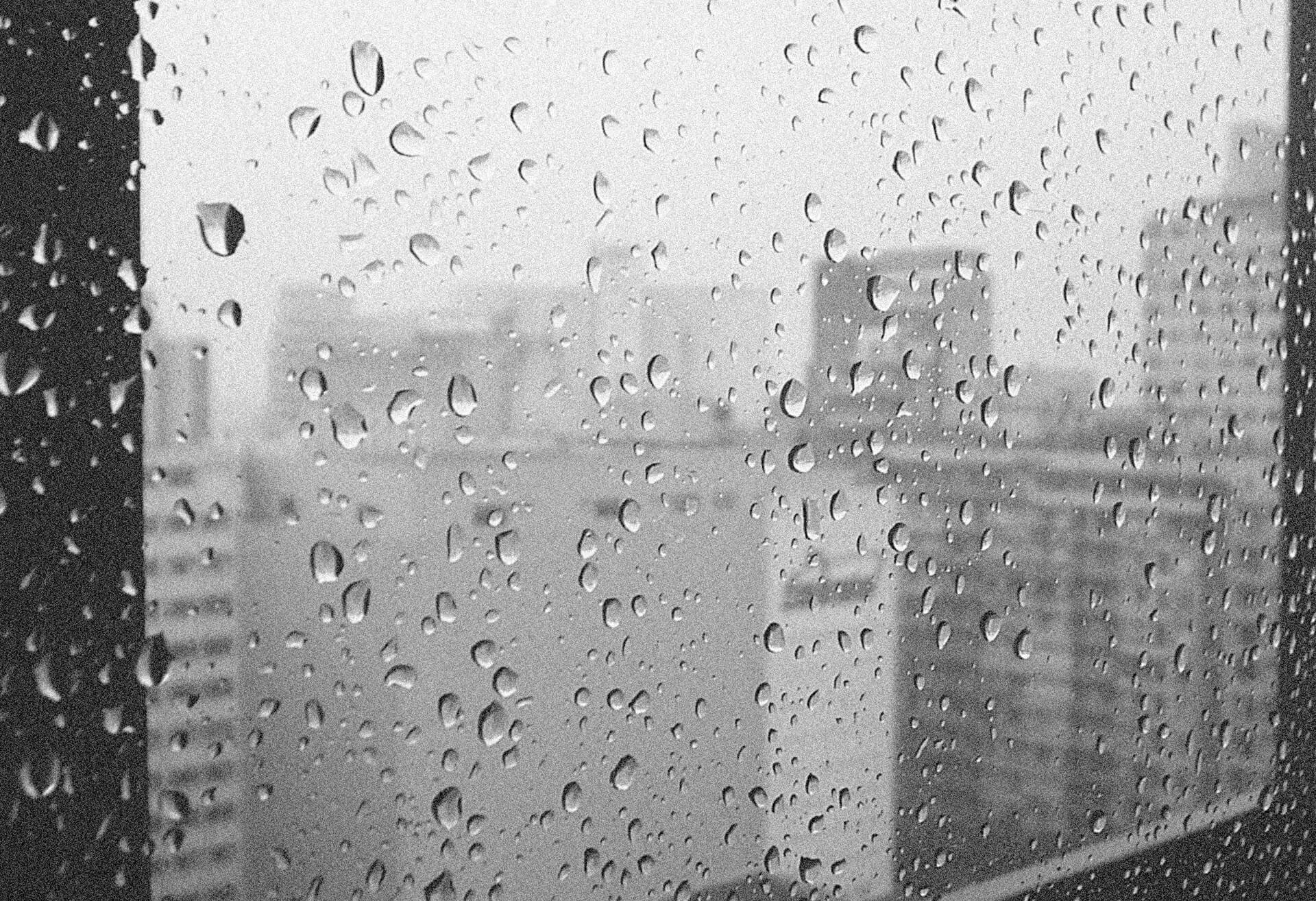 Poesia em preto e branco - Claudia Braga - imagem 03